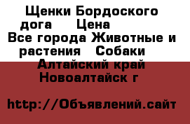 Щенки Бордоского дога.  › Цена ­ 30 000 - Все города Животные и растения » Собаки   . Алтайский край,Новоалтайск г.